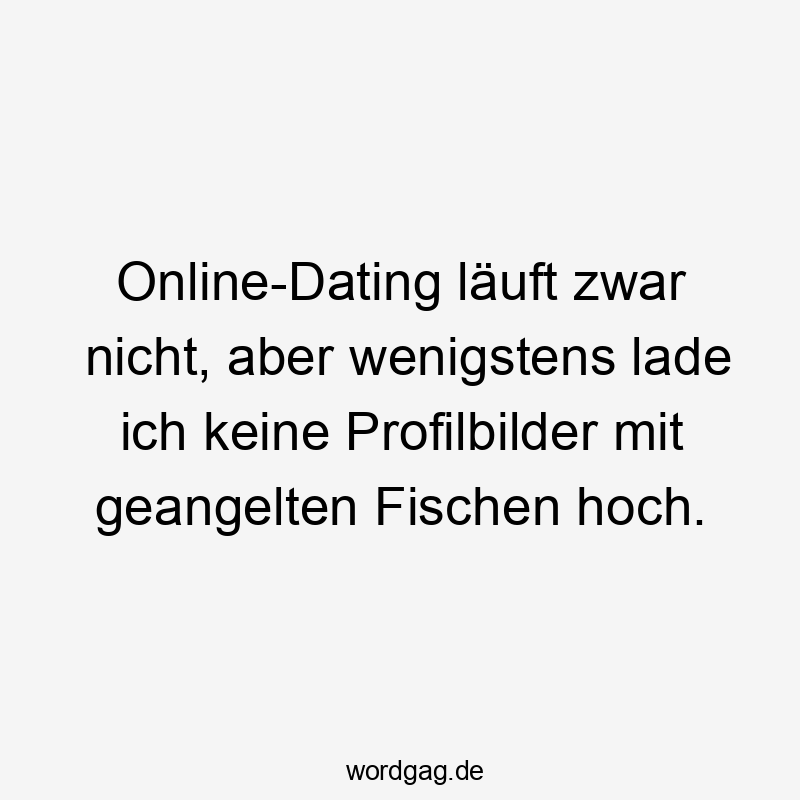 Humorvoller Spruch über Online-Dating und Profilbilder, frech und witzig.
