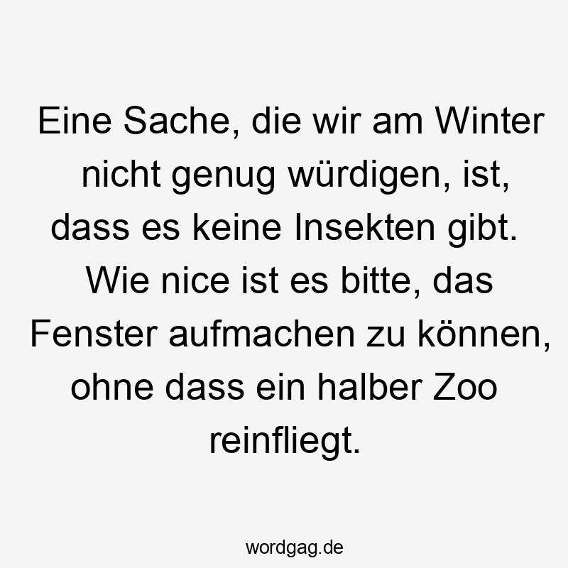 Witziger Spruch über den Winter: Keine Insekten, Fenster öffnen ohne Zoo.