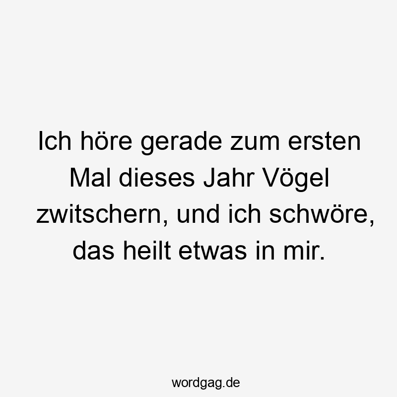 Witziger Spruch über die Freude an Vogelgezwitscher und positive Stimmung.