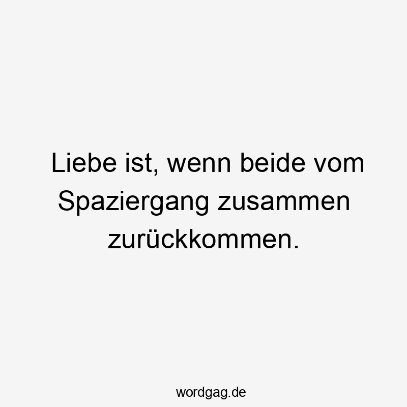 Humorvoller Spruch über Liebe und Spaziergänge, locker und witzig, zeigt liebevolle Verbundenheit.